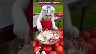 Cat❤️❤️shortvideos comedy funny duet 😂😂❤️❤️ [upl. by Wesle]