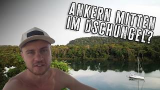 Ab in den DSCHUNGEL  Affen und Kaimane in PANAMA salty brothers Ep35 [upl. by Rizan]