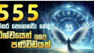 555 Angel number meaning in sinhala [upl. by Akyssej]