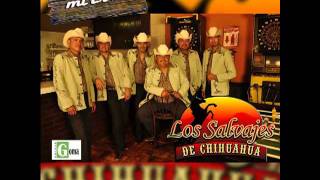 Los Salvajes De ChihuahuaVente Ven [upl. by Eastlake]