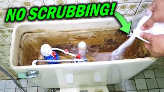 Clean Toilet Tanks without Scrubbing How to Use Citric Acid [upl. by Enelyk946]