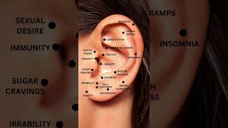 Specific areas in the ear correspond to different systems functions and organs Based on this know [upl. by Ttoille798]