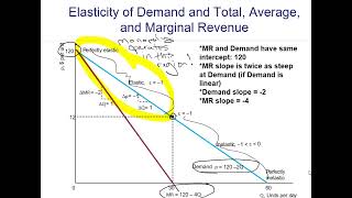 Elasticity of Demand and Marginal Revenue for Monopolist [upl. by Radferd]