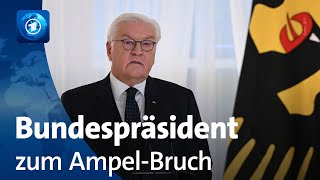 Steinmeier appelliert nach Koalitionsende an Verantwortung aller Beteiligten [upl. by Sproul]