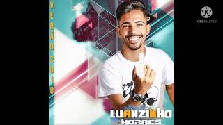 luanzinho moraeschance para o nosso amor [upl. by Doralin]