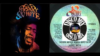 Barry White amp Lisa Stansfield  NeverNever Gonna Give Ya Up Disco Mix Extended Version RemixVP Dj [upl. by Ahsinod]