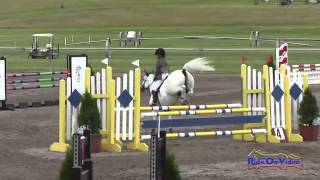 392S Taylor McFall on Kilbarry Prince N3D [upl. by Oiramat]