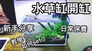 水草魚缸開缸！新手分享！魚缸日常維護 [upl. by Lebyram341]