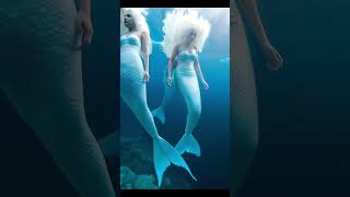 Enchanting Mermaid Swimming with a Dolphin – A Rare and Beautiful Moment 🌊🐬 mermaid [upl. by Clevie]