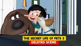 🐱🌟 Discover the secret life of your pets What do they really do when were not looking [upl. by Iatnohs]