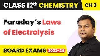 Faraday’s Laws of Electrolysis  Electrochemistry  Class 12 Chemistry Chapter 3 202223 [upl. by Sitof]