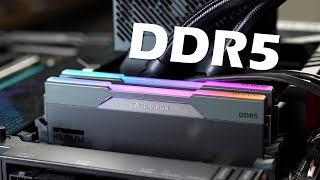 【Huan】 DDR5記憶體可以入手了嗎 feat KLEVV BOLT V amp KLEVV CRAS V RGB [upl. by Ynnod267]