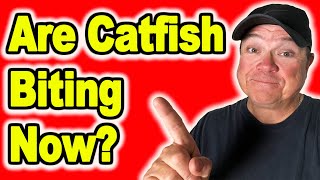 Is Now a Bad Time to Catch Catfish [upl. by Laroc]