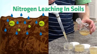 Fertilize Responsibly Nitrate Leaching and Cation Exchange in a Sandy Soil [upl. by Lia]