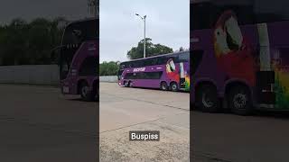 Eucatur 💜🤍 destino São Paulo [upl. by Ruben615]