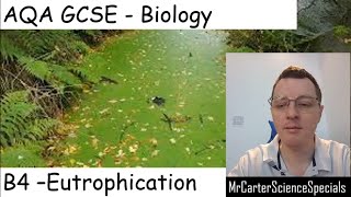 B182  Eutrophication  AQA Biology GCSE 91 [upl. by Marga114]