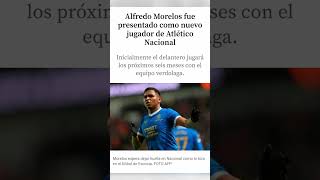 Alfredo Morelos nuevo jugador de Atlético Nacional [upl. by Vincenta]