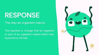 CSEC Review Biology  Module 4  Topic 4  Sensitivity and Coordination Introduction [upl. by Vita]