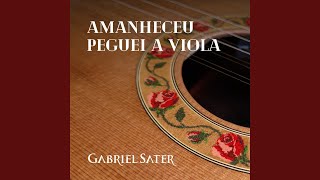 Amanheceu Peguei a Viola [upl. by Fineberg]