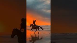 Love it horse ride 💕trending viral short youtubeshorts [upl. by Aerdno]