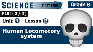 Science  G6  Human Locomotory system  Part 22  Unit Four  Lesson Two [upl. by Cecilio]