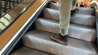 as a birthday gift 💝 2024 Schindler escalators FMR John Perry QVB Sydney CBD [upl. by Svetlana]