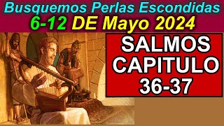 Busquemos PERLAS ESCONDIDAS de esta semana 612 de Mayo 2024 Comentarios [upl. by Pas]