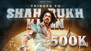 Shah Rukh Khan Birthday Mashup 2023  Tribute To SRK  Vibin Varghese  Dropart Remix [upl. by Zipah]