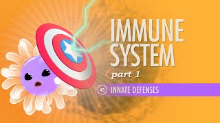 Immune System Part 1 Crash Course Anatomy amp Physiology 45 [upl. by Neneek]