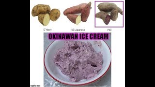 Purple Sweet Potato Ice Cream  Healthiest Recipe on Internet [upl. by Faria]