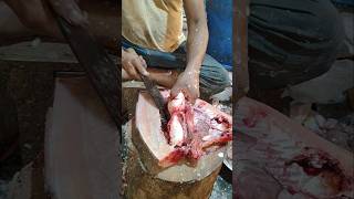 Super Huge Rohu Fish Cutting By Expert Fish Cutter  shorts fish fishing food [upl. by Frederique583]