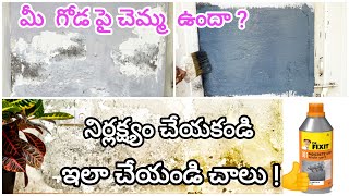 Wall dampness treatment  how to repair wall damage  wall waterproofing [upl. by Moazami]