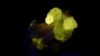 186258061002UV CERUSSITE LW fluorescent 365nm  Morocco Atlas Mts Mibladen blackorion666 [upl. by Yenahc]