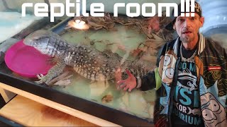 REPTILE ROOM [upl. by Mcspadden]