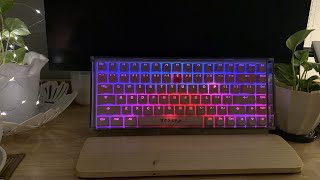 Royal Krudge  RK84  EVA Foam Mod  Installation and Sound tests with Taihao Sakura Michi Keycaps [upl. by Nadiya]