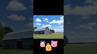 Michigan Barns and farms [upl. by Tiram921]