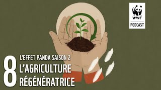 Lagriculture régénératrice  LEffet Panda saison 2  un podcast WWF [upl. by Struve855]