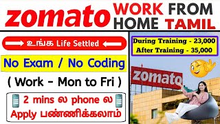 உங்க Life Settled 🤩 Zomato Work From Home Jobs 2024  No Coding  Jobs For Freshers  Remote  SVA [upl. by Fontana]