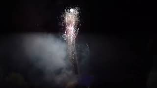 Insane Backyard Fireworks Finale 1000 salutes [upl. by Yadrahc]