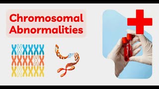 Chromosomal Disorders Downs Klinefelters Turners syndrome Principal of Inheritance and Variation [upl. by Oilla]