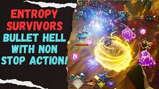 Entropy Survivors  Action Packed Bullet Hell Game [upl. by Dorree]