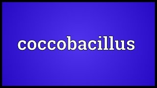 Coccobacillus Meaning [upl. by Ehrman]