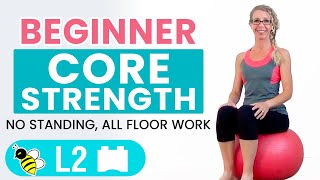 BEGINNER CORE  15 Minute STABILITY BALL Workout for BEGINNERS [upl. by Atlee684]