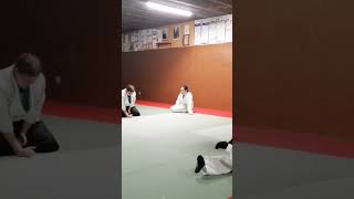 Cerdanya aïkido DOJO DESTAVAR ballaretbougerradiowebco aikido66com [upl. by Eiznekam]