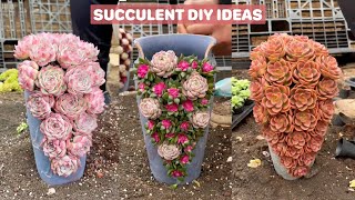 Beautiful Succulent DIY Ideas  多肉植物 다육이들  Suculentas [upl. by Rovert]