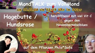 MondTalk zum Vollmond  Im Gespräch mit Nana Mara auf dem PflanzenPhiloSofa  Hagebutte Hundsrose [upl. by Ellissa246]