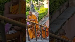 With younger monks and Guru Bodhgaya Biharshakyamunibuddha india shakyamunibiographyofbuddh563 [upl. by Majka]