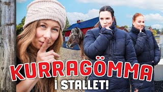 KURRAGÖMMA I STALLET  Systrarna Elfstrand [upl. by Demona]