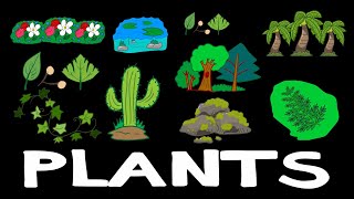 PLANTS  Learn plant names  Kids Learning Video  DINOJORDAN [upl. by Calla]