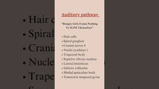 Neuroanatomy Mnemomics [upl. by Cousins24]